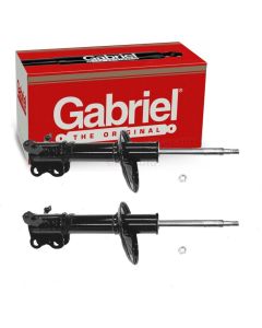 Gabriel Suspension Strut