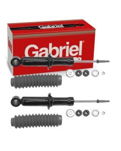 Gabriel Suspension Strut