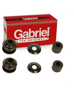 Gabriel Shock Mount