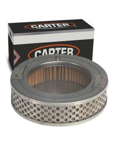 Carter Fuel Pump Strainer
