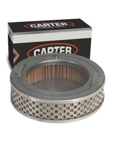 Carter Fuel Pump Strainer