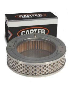 Carter Fuel Pump Strainer