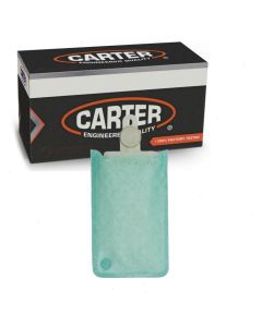 Carter Fuel Pump Strainer