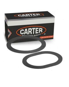 Carter Fuel Pump Tank Seal