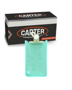 Carter Fuel Pump Strainer