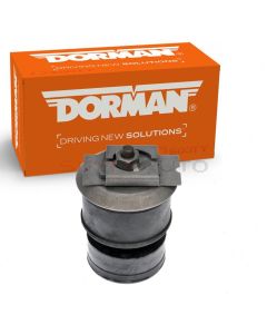 Dorman Body Mount