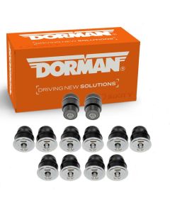 Dorman Body Mount Set