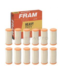 FRAM Air Filter