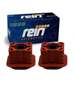 Rein Radiator Mount