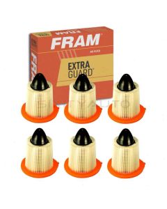 FRAM Air Filter