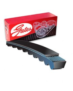 Gates Accessory Drive Belt