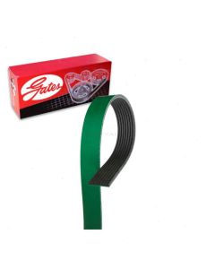 Gates Serpentine Belt