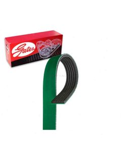 Gates Serpentine Belt