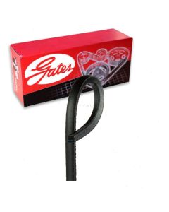Gates Accessory Drive Belt