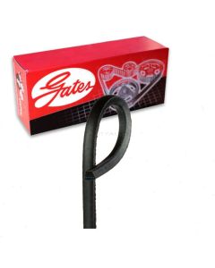 Gates Accessory Drive Belt
