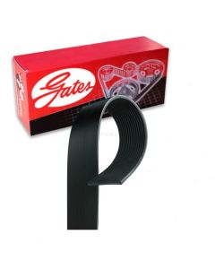 Gates Serpentine Belt