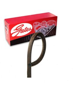 Gates Accessory Drive Belt