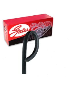 Gates Accessory Drive Belt