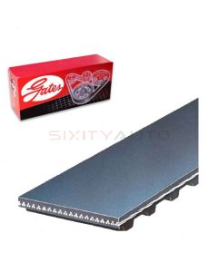 Gates Engine Timing Belt