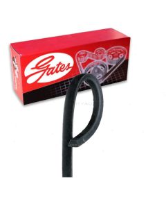 Gates Accessory Drive Belt
