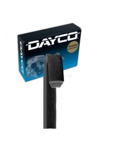 Dayco Accessory Drive Belt