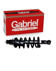 Gabriel Suspension Strut Assembly