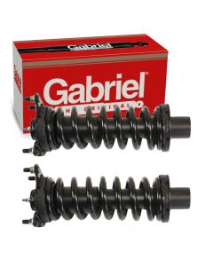 Gabriel Suspension Strut Assembly