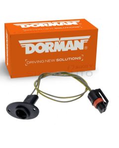 Dorman License Light Socket