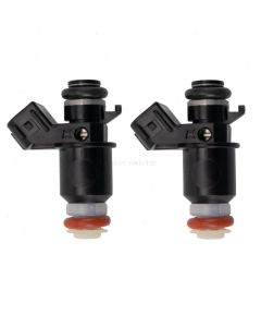 Hitachi Fuel Injector