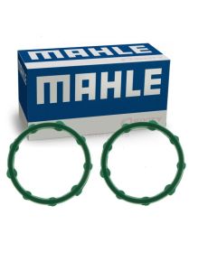MAHLE Engine Oil Cooler Gasket