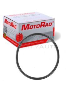 MotoRad Engine Coolant Thermostat Seal