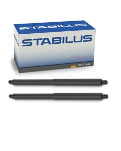 Stabilus Hatch Lift Support