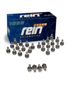 Rein Engine Oil Pan Bolt Kit