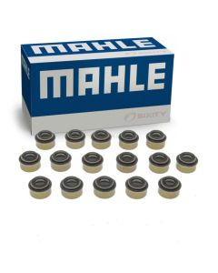 MAHLE Engine Valve Stem Oil Seal Set