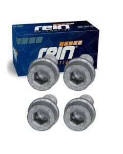 Rein Door Hinge Bolt