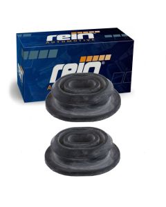Rein Radiator Mount