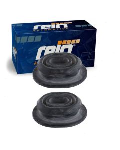 Rein Radiator Mount