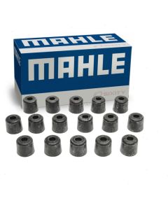 MAHLE Engine Valve Stem Oil Seal Set