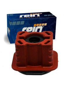 Rein Radiator Mount