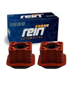 Rein Radiator Mount