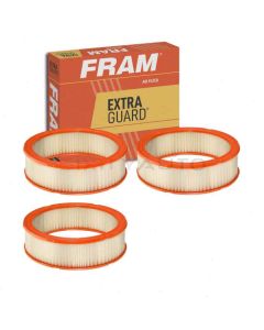 FRAM Air Filter