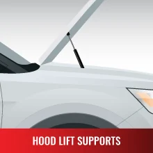 Hood Lift Supports